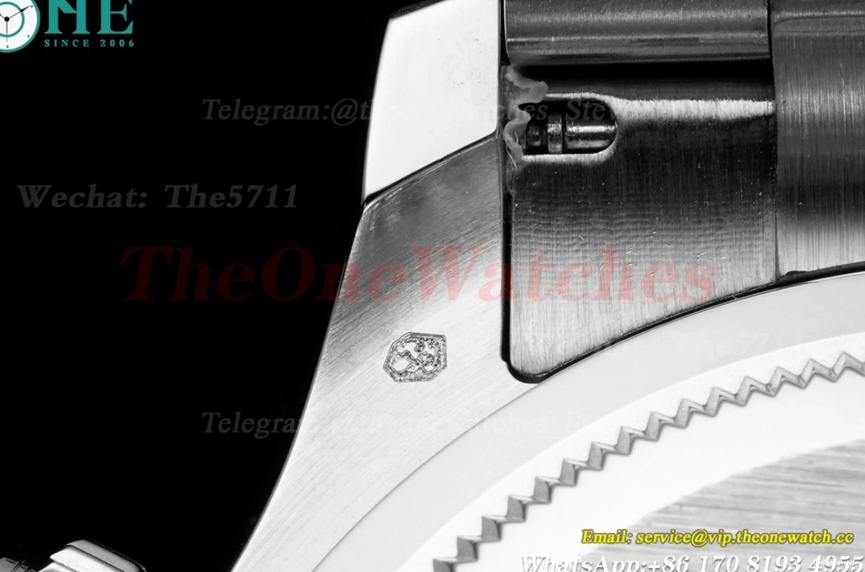 SH4131(Gain SS QF Weight) Dia 40mm 126509 Daytona Black SS 0207